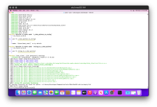 Screen Shot 2022-09-12 at 1.10.13 PM.png (1×2 px, 1 MB)