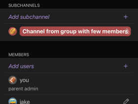 pinboard-Simulator Screen Shot - iPhone 14 Pro - 2023-06-01 at 18.19.03.png (210×280 px, 15 KB)