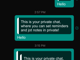 pinboard-Simulator Screen Shot - iPhone 13 Pro - 2022-09-13 at 16.06.03.png (210×280 px, 16 KB)